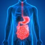 Digestive Enzymes